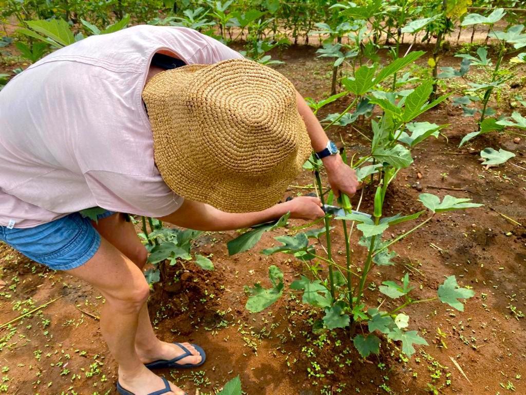 Moni Farm House Wilpattu Nochchiyagama Bagian luar foto