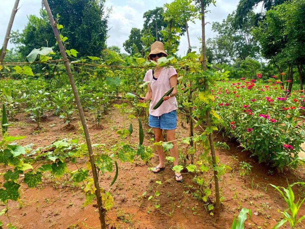 Moni Farm House Wilpattu Nochchiyagama Bagian luar foto