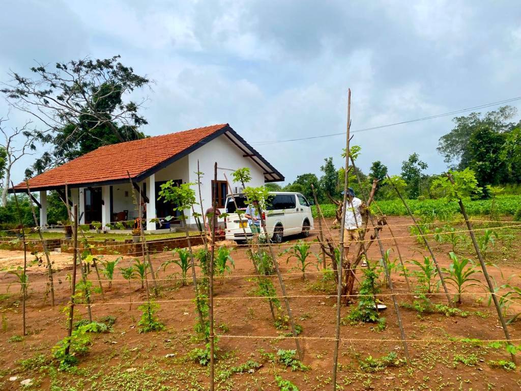 Moni Farm House Wilpattu Nochchiyagama Bagian luar foto