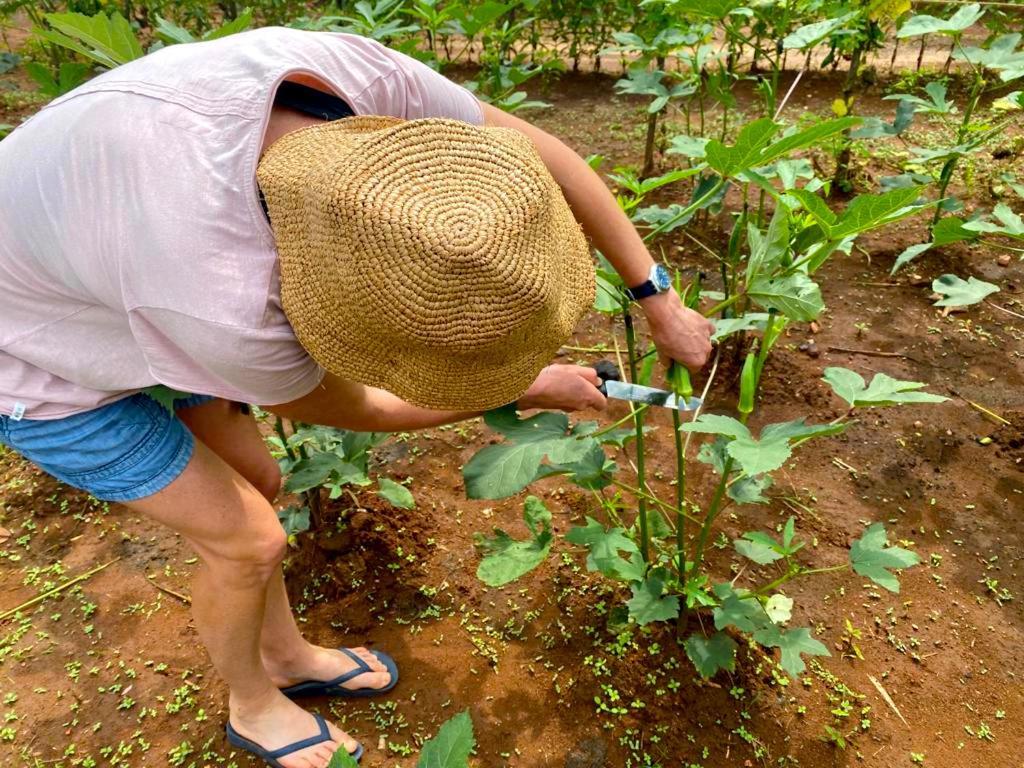 Moni Farm House Wilpattu Nochchiyagama Bagian luar foto