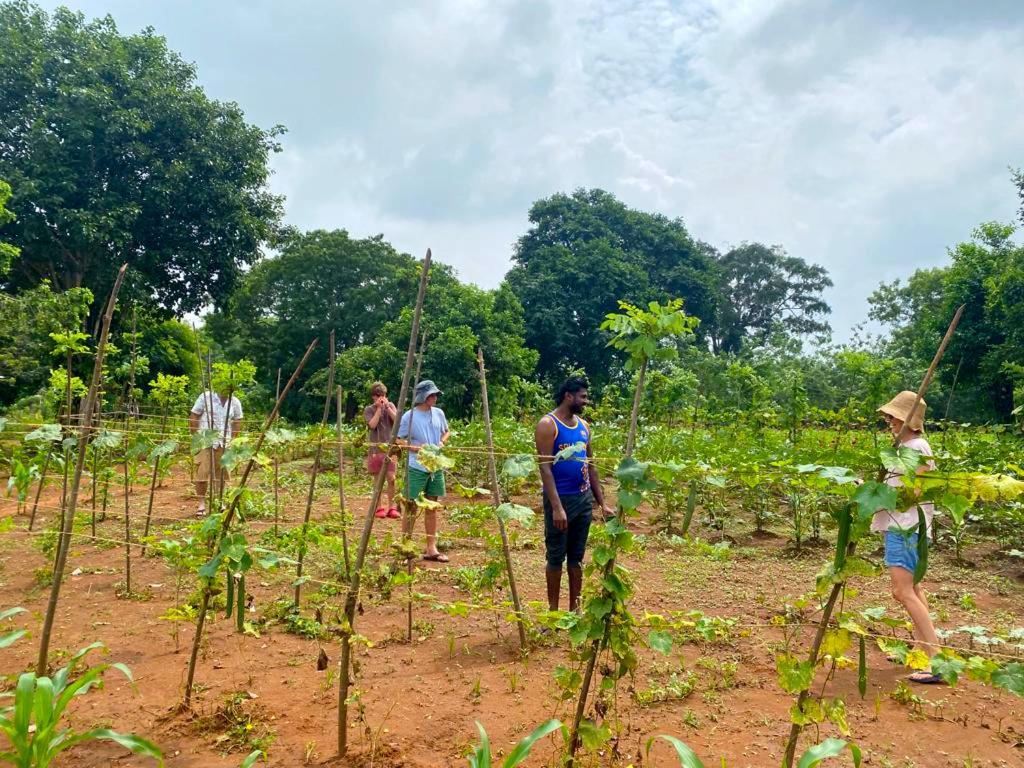 Moni Farm House Wilpattu Nochchiyagama Bagian luar foto