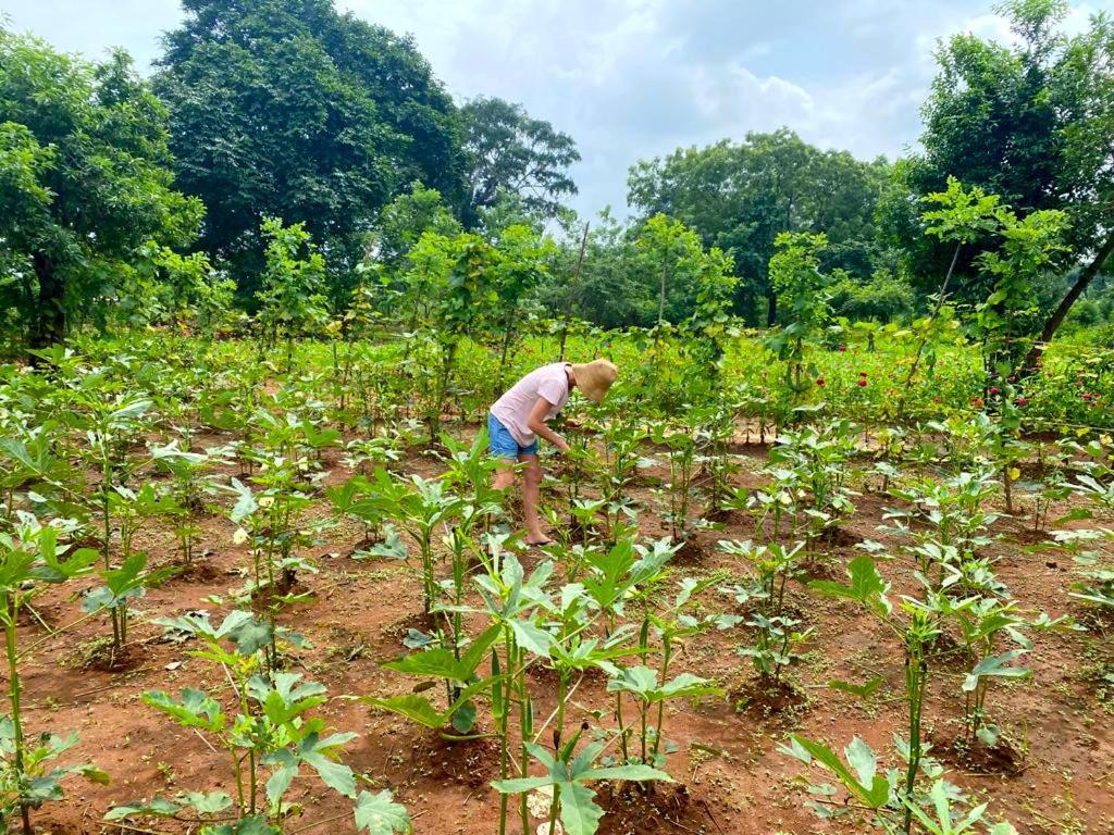 Moni Farm House Wilpattu Nochchiyagama Bagian luar foto