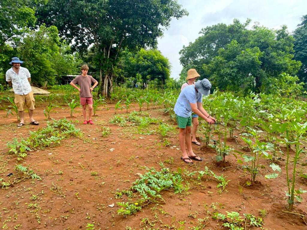 Moni Farm House Wilpattu Nochchiyagama Bagian luar foto