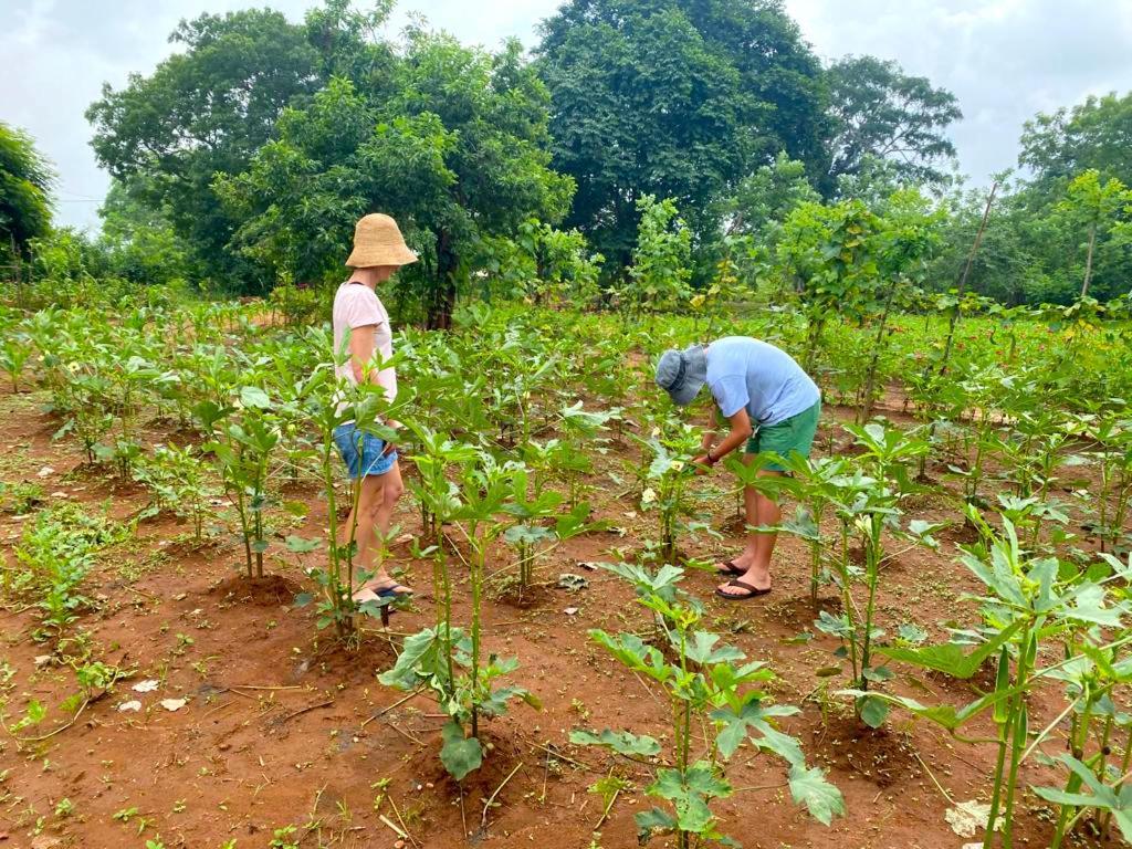 Moni Farm House Wilpattu Nochchiyagama Bagian luar foto