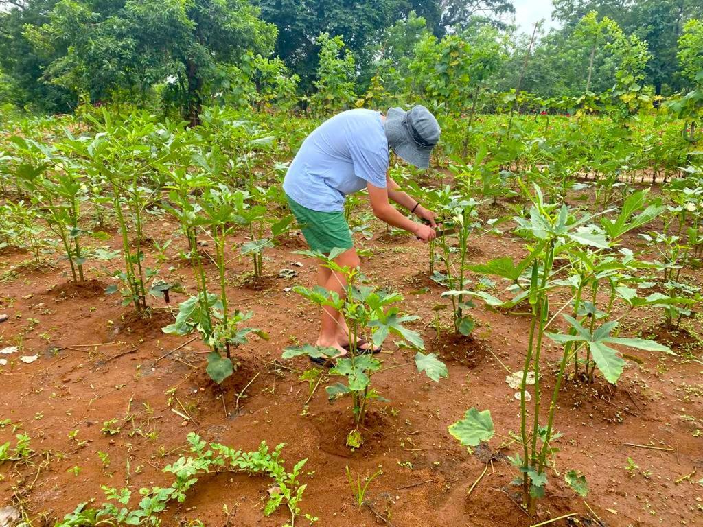 Moni Farm House Wilpattu Nochchiyagama Bagian luar foto