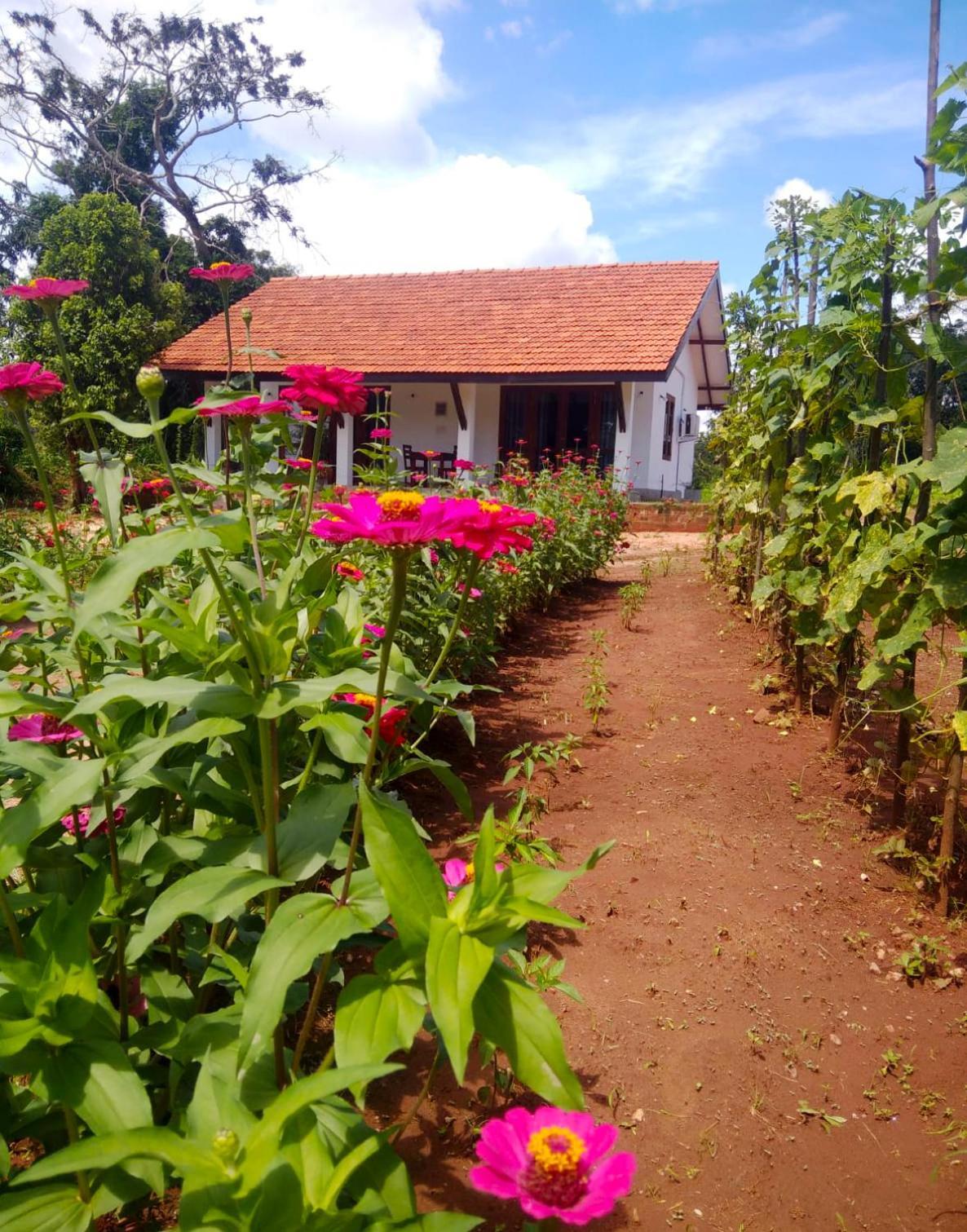 Moni Farm House Wilpattu Nochchiyagama Bagian luar foto