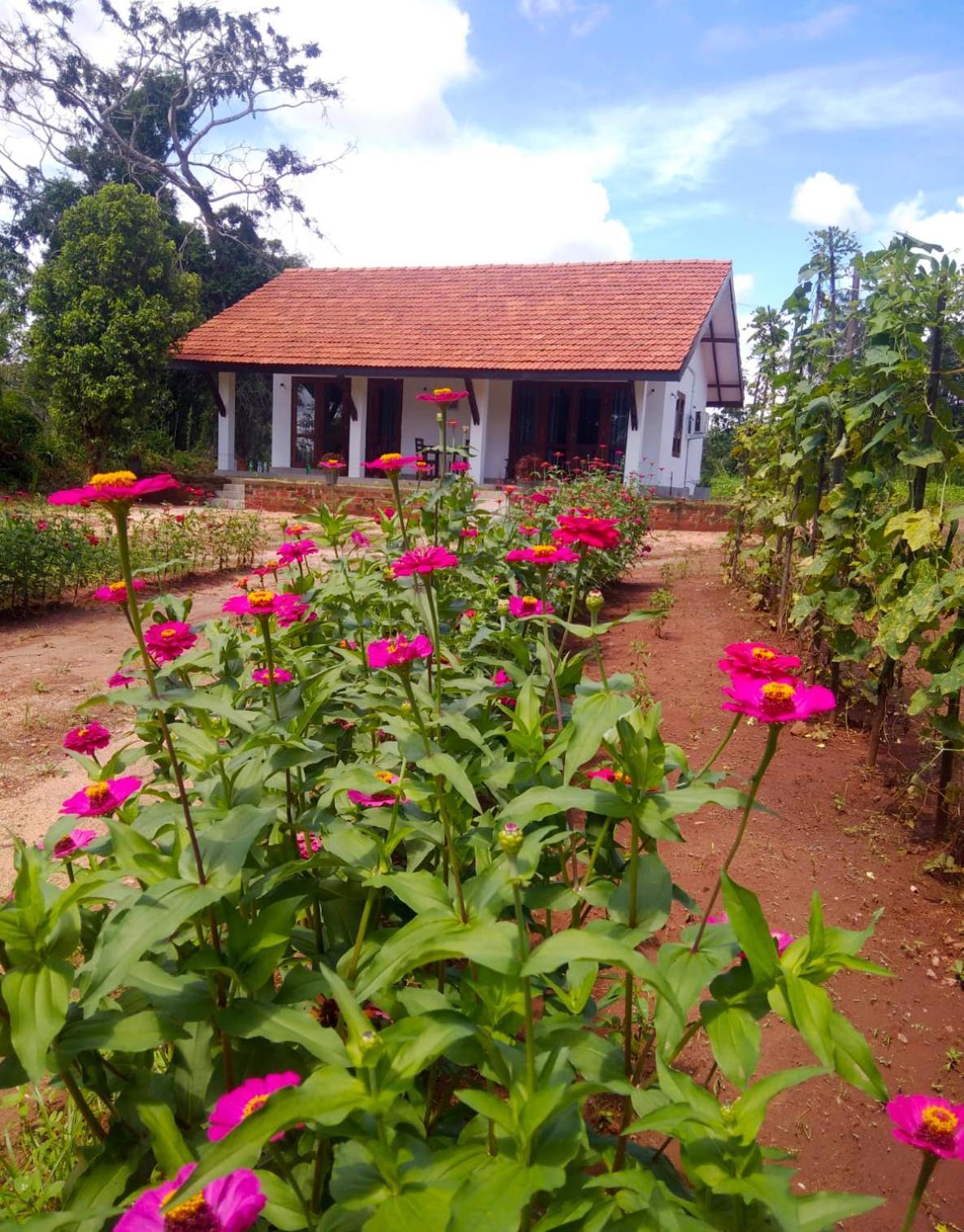 Moni Farm House Wilpattu Nochchiyagama Bagian luar foto