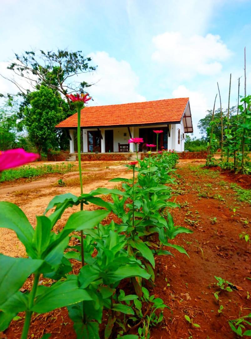 Moni Farm House Wilpattu Nochchiyagama Bagian luar foto