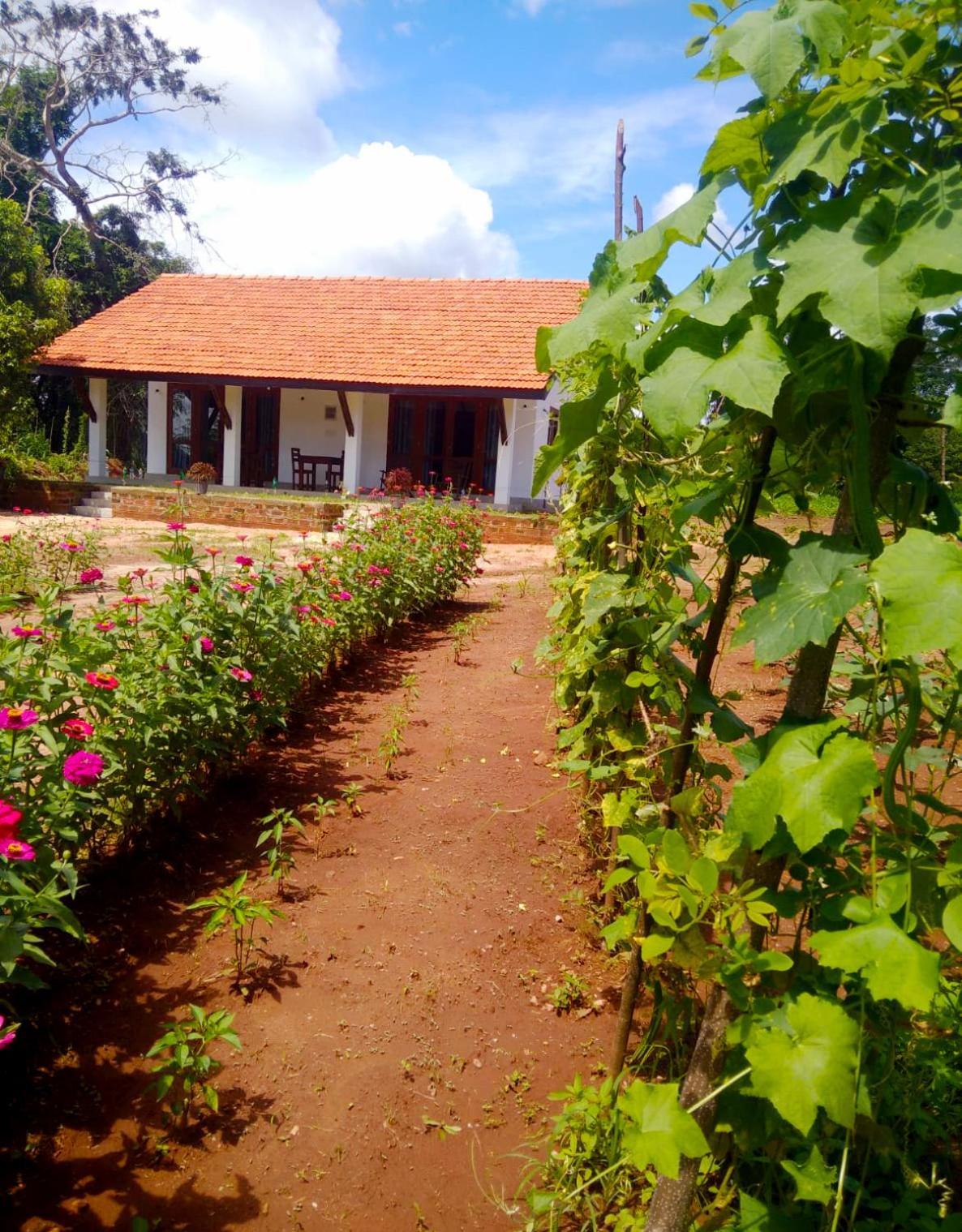 Moni Farm House Wilpattu Nochchiyagama Bagian luar foto